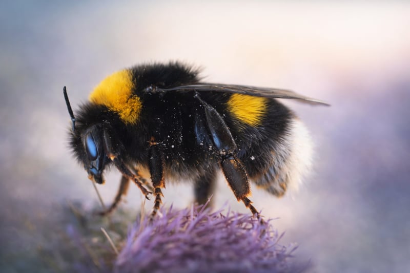 ChatGPT Image Jan 31, 2026, 01_12_08 PM